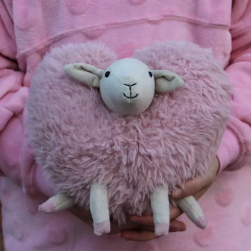 Aimee Sheep