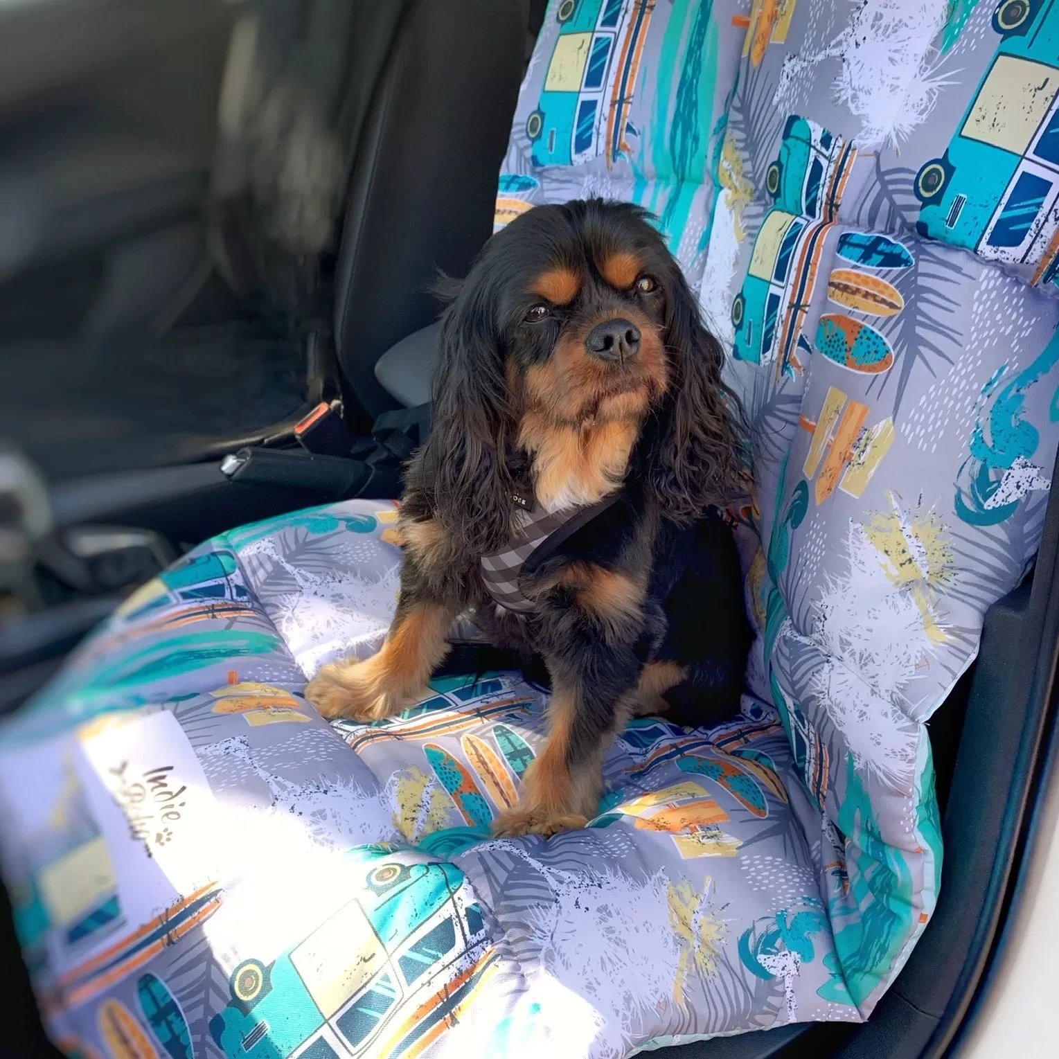 Byron Surf Dog Travel Mat