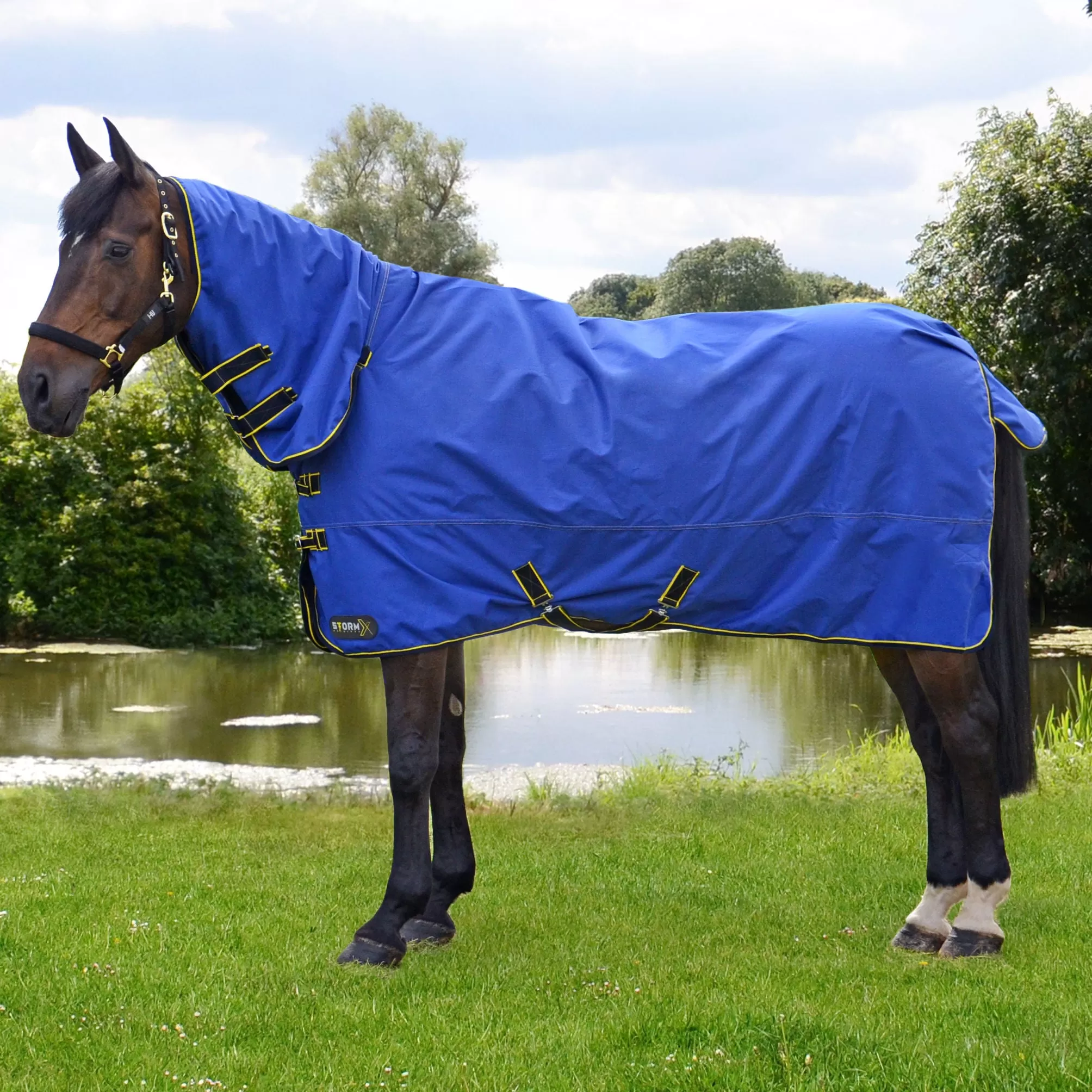 StormX Original 100g Combo Turnout Rug