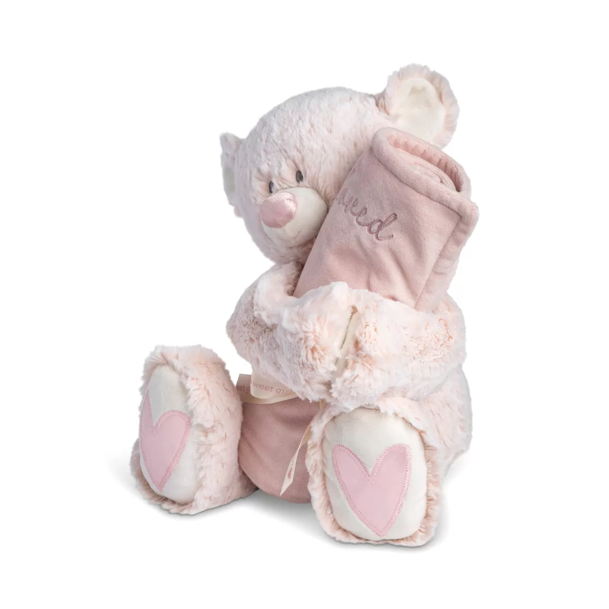 Teddy and Blanket Set